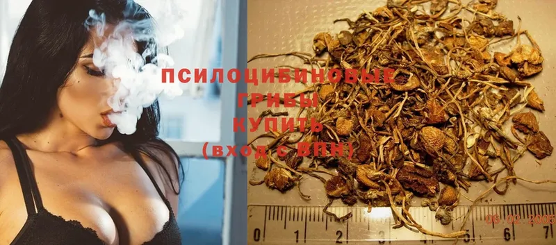 Галлюциногенные грибы MAGIC MUSHROOMS  мориарти клад  Берёзовка  где купить наркотик 